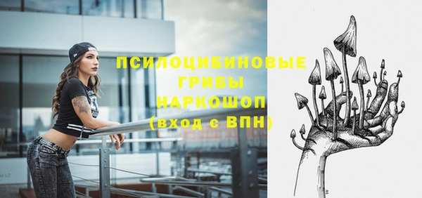 герыч Бикин