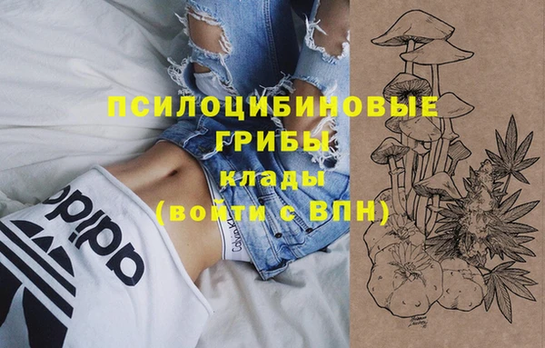 ECSTASY Нязепетровск