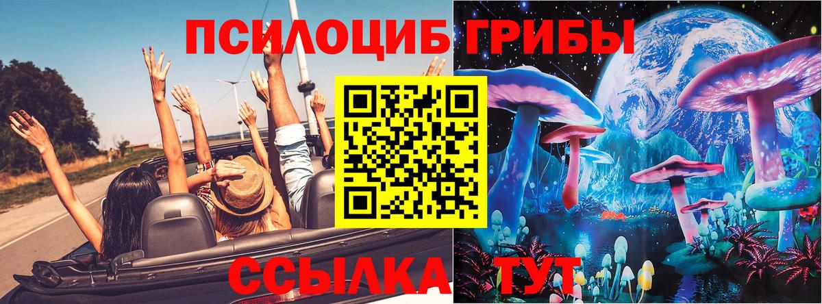 дарнет шоп  Людиново  Псилоцибиновые грибы мицелий 