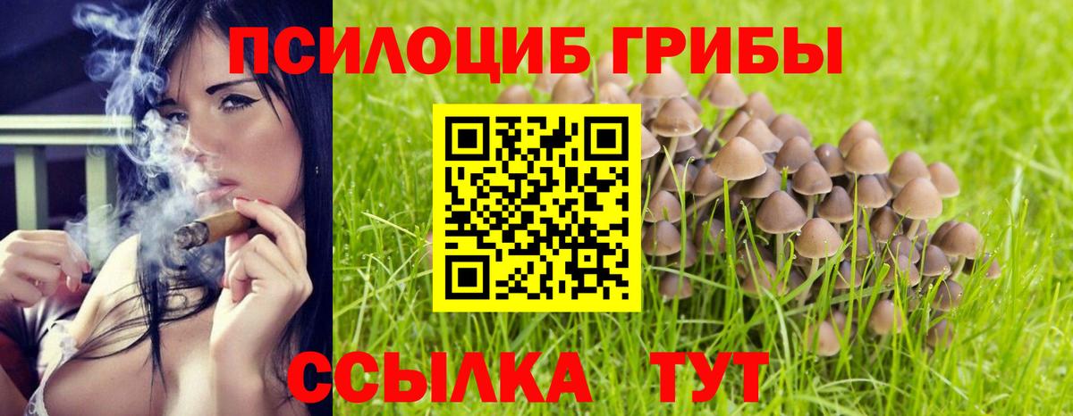 Псилоцибиновые грибы Cubensis Людиново