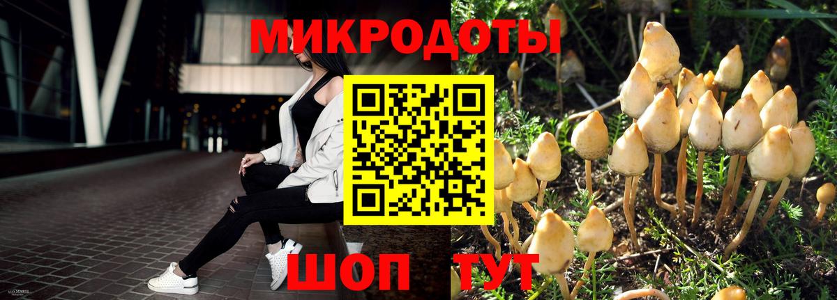 Людиново  Псилоцибиновые грибы Psilocybine cubensis  Псилоцибиновые грибы MAGIC MUSHROOMS  Вход с VPN 