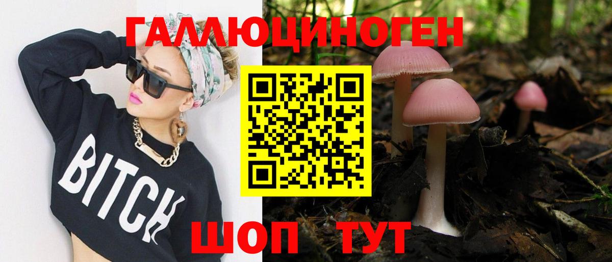 Галлюциногенные грибы Cubensis Людиново